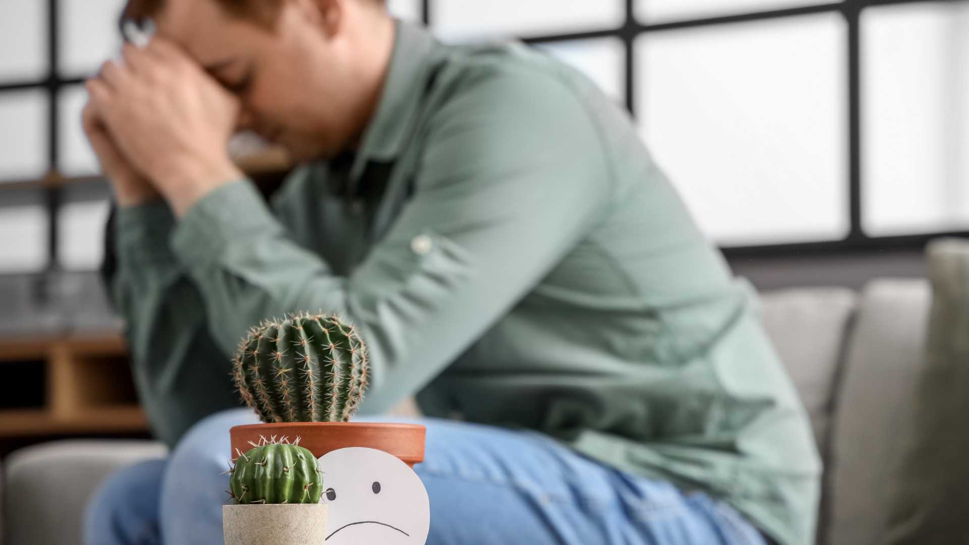 ¿Tienes hemorroides sin saberlo? Guía completa para detectarlas a tiempo